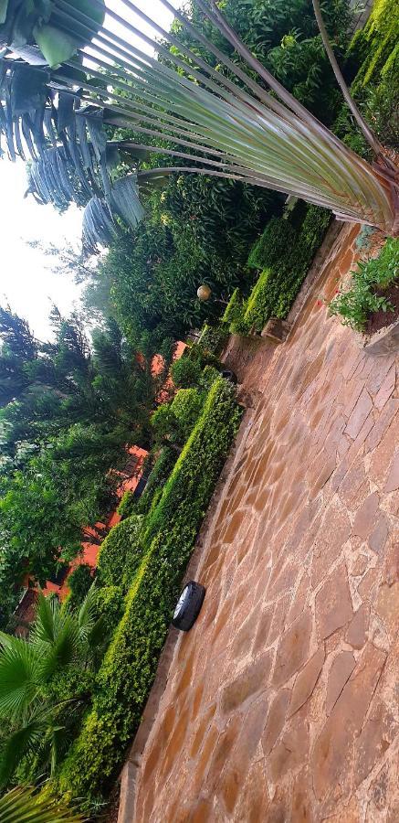 Jaaja's - The Residence, Garden And Near Ciala